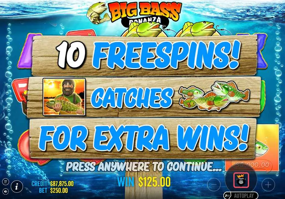 Bankroll-Rechner — interaktive Szenarioanalyse